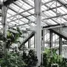 Brussels Botanical Garden — Walk Slow Brussels: Parks, Cafes and Contemplation, bruselas