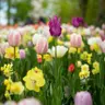 Albia Gardens — Visit Bilbao Unhurried: A Day to Breathe by the Estuary, bilbao