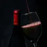 Doniene Gorrondona Txakoli Winery — Visit Bilbao VIP: Art, Fine Dining & Exclusivity in the Basque Heartland, bilbao