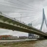 Erasmus Bridge & River Maas Walk — Walk Rotterdam with Kids: Architecture, Animals and Adventures for All, rotterdam