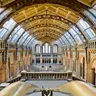 Museo de Historia Natural — Museo Londres en familia: aventuras para todas las edades, london