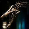 Oxford University Museum of Natural History — Museo Oxford en Familia: Dinosaurios, Harry Potter y Paseos en Barca, oxford
