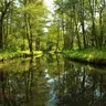 Spreewald - Canales — Ocio Escapada desde Berlín: Palacios y Naturaleza, berlin
