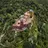 Sintra with kids: fairytale palaces and enchanted forests