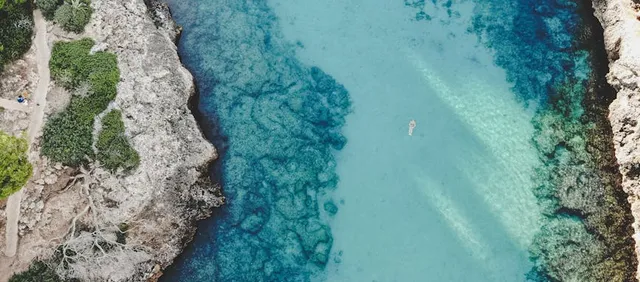 Barrio de la Lonja y Paseo del Born