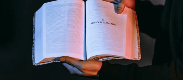 Het Park junto al Euromast