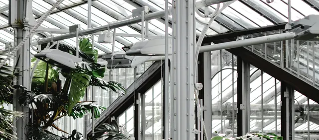 Palm House de Sefton Park: El Invernadero Victoriano