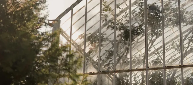 Ness Botanic Gardens: 25 Hectáreas junto al Mar