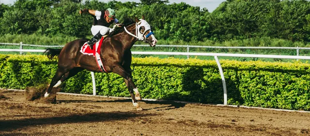 York Racecourse (Knavesmire)