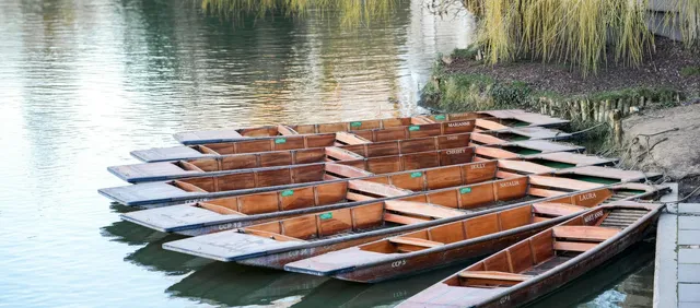 Punting pausado por el Cherwell