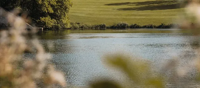 Excursión al Palacio de Blenheim