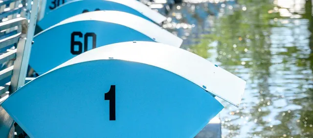 Blaarmeersen: Lago y Naturaleza