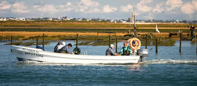 Ria Formosa Boat Tour