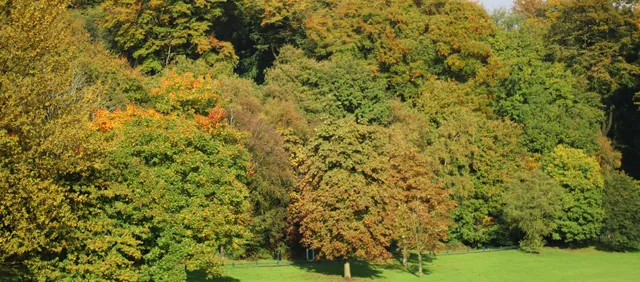 Prior Park Landscape Garden