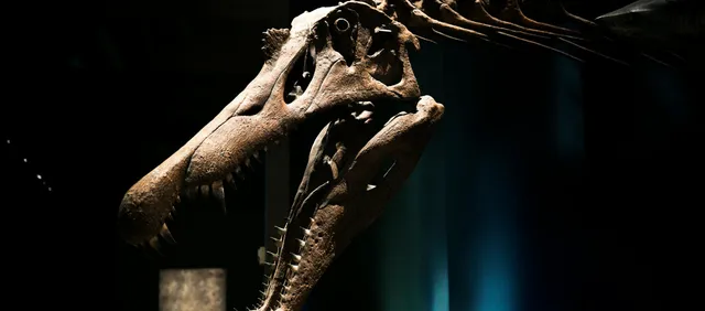 Oxford University Museum of Natural History