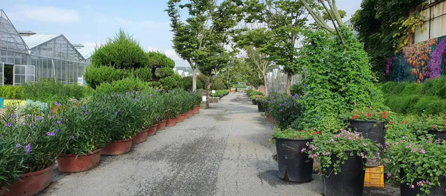 Oxford Botanic Garden
