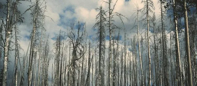 Almuerzo en Canas y Barro