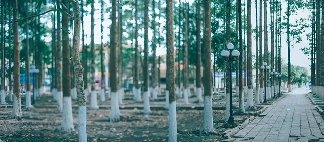 Parc Cristina Enea