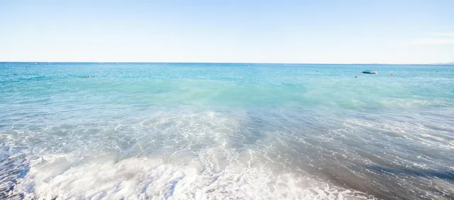 Colline du Château: Jardines y Mirador