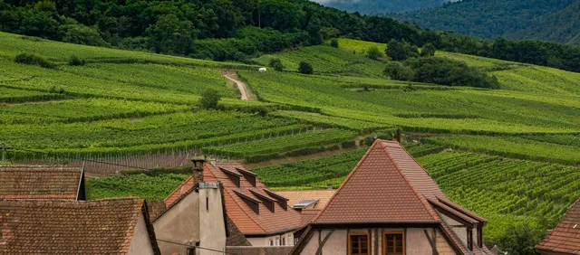 Elsässische Kaffeepause bei Christian: Kougelhopf und Spezialitätenkaffee