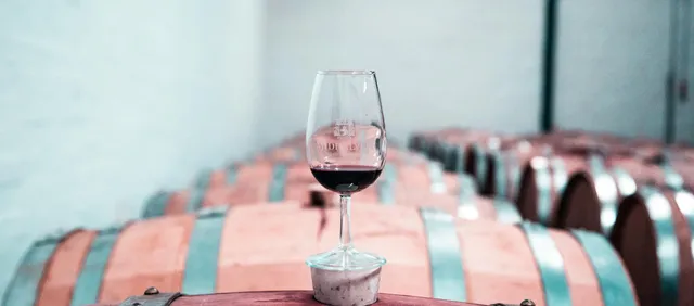 Cata de vinos volcánicos en Santo Wines
