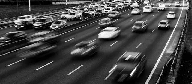 Avistamiento de Aves