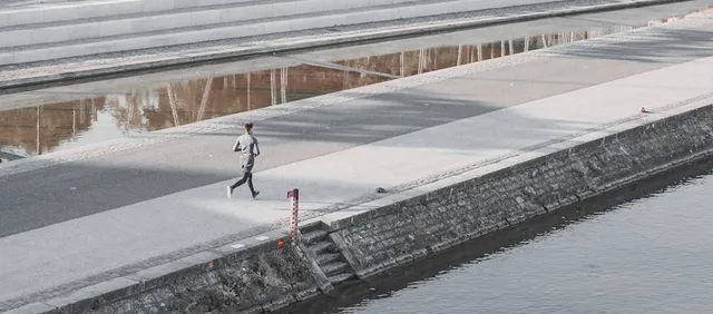 Paseo al Atardecer por las Orillas del Rodano