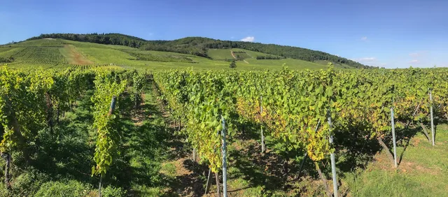 Sonnenuntergangsspaziergang an den Ponts Couverts und der Barrage Vauban