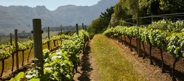 Tren hasta Sant Sadurní d'Anoia