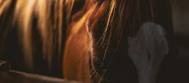 Centro Histórico de Tívoli