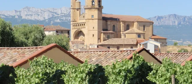 Almuerzo en masía entre viñedos