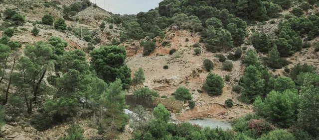 Carrera del Darro