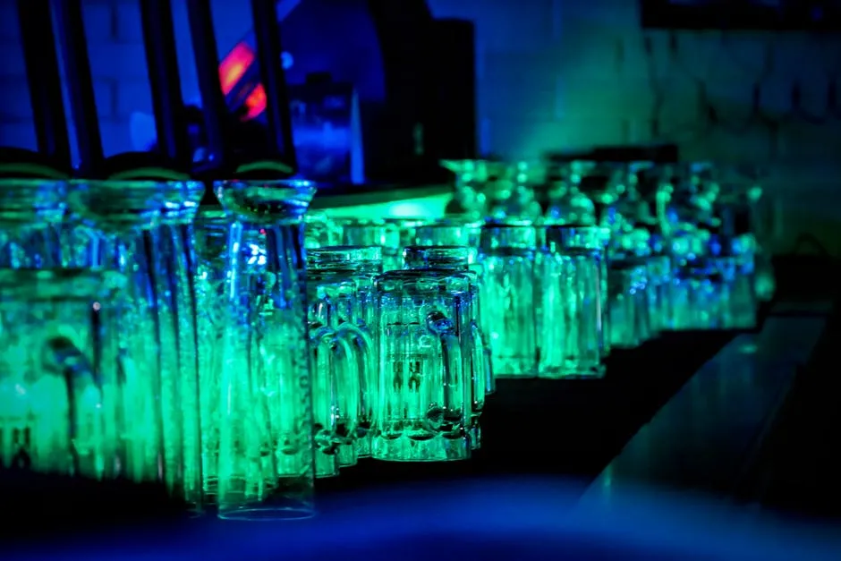 Bar Panorama Park Inn