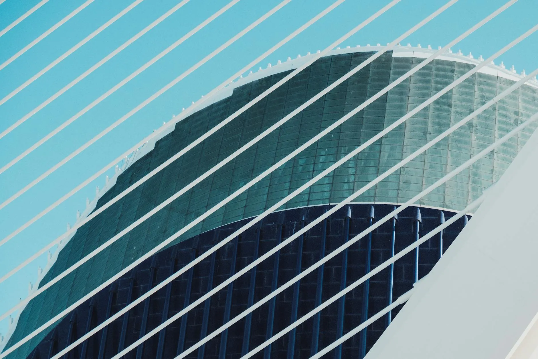 Dîner au Ricard Camarena