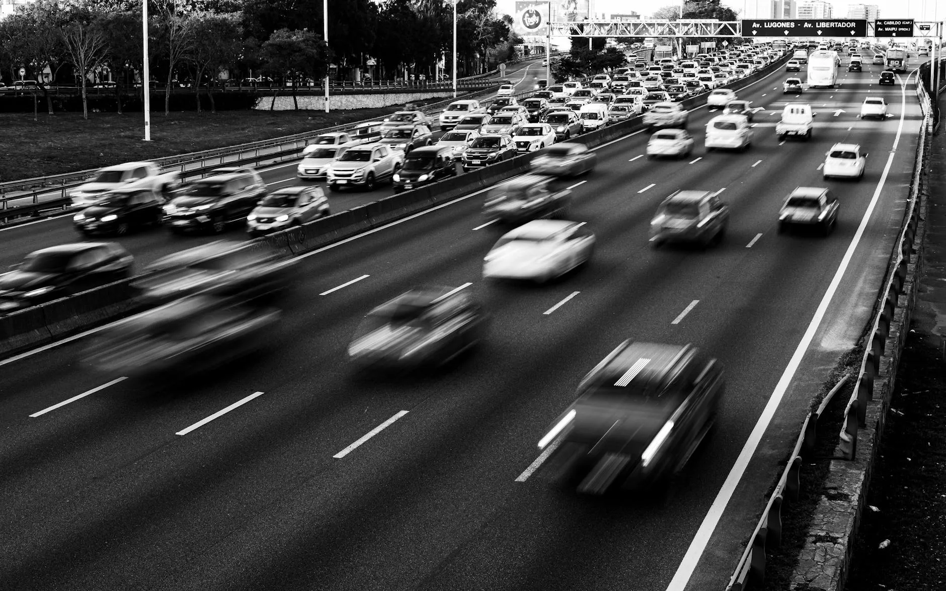 Avistamiento de Aves