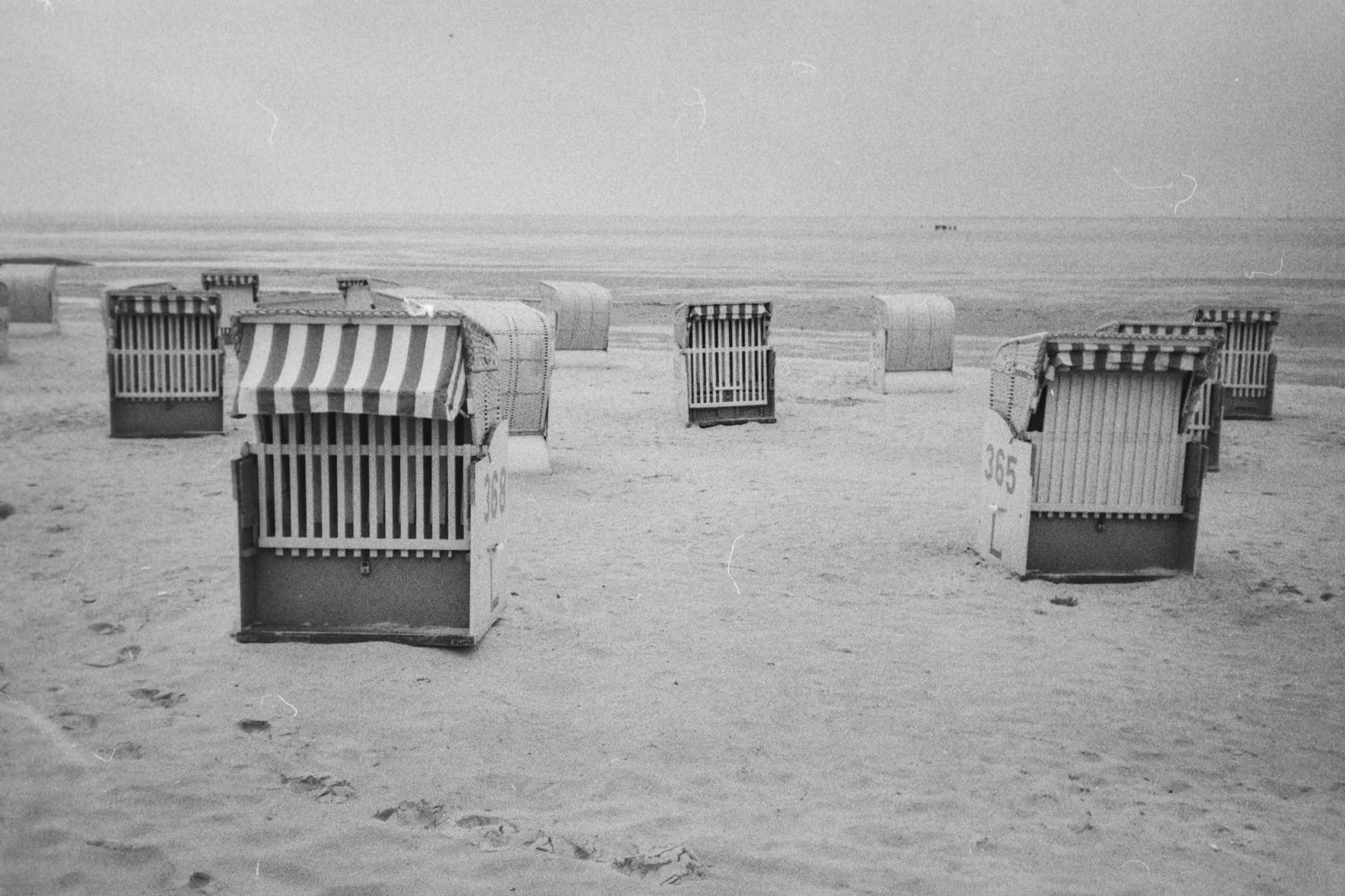 ハンブルクのフィッシュマルクト