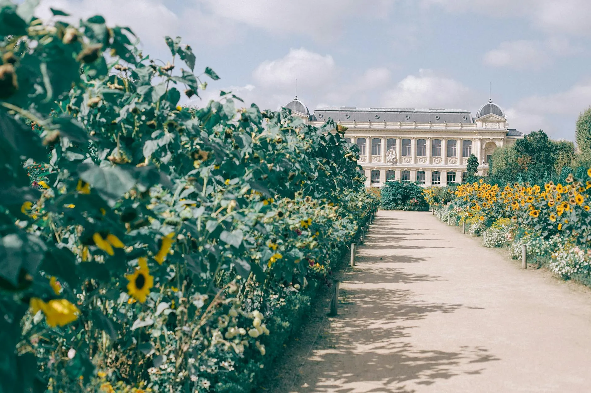 Paseo por el Jardin des Plantes