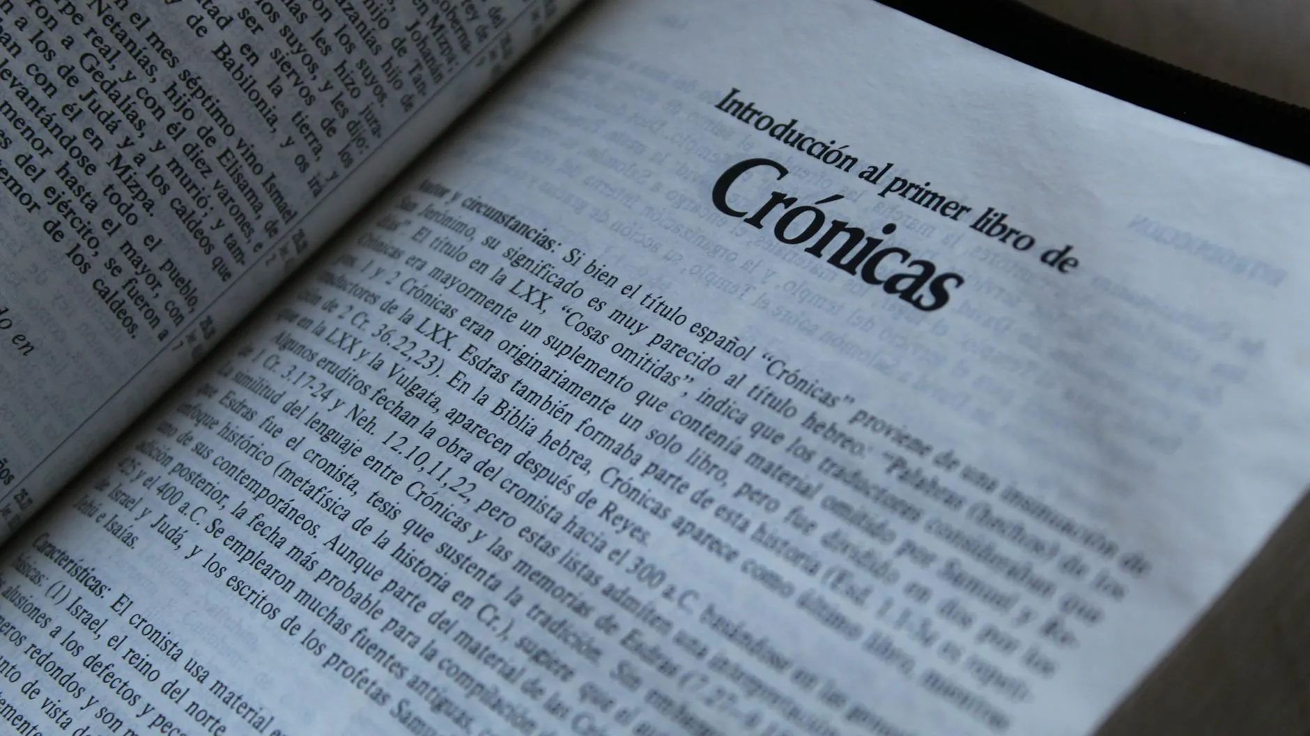 Brunch en Magasin Général (Darwin)