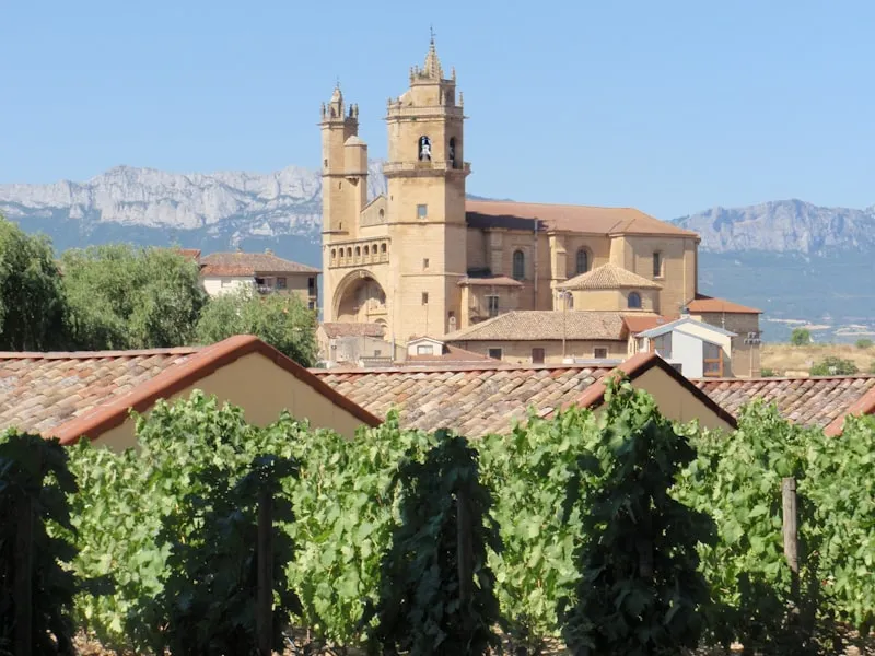 Lunch in a farmhouse among vineyards