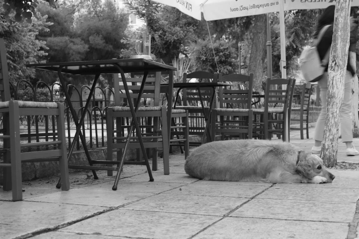 Jardin Nacional de Atenas