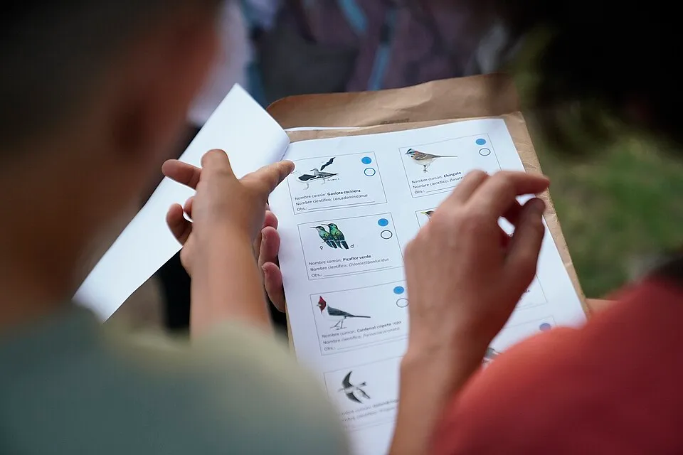 Albufera: Arrozales y Naturaleza