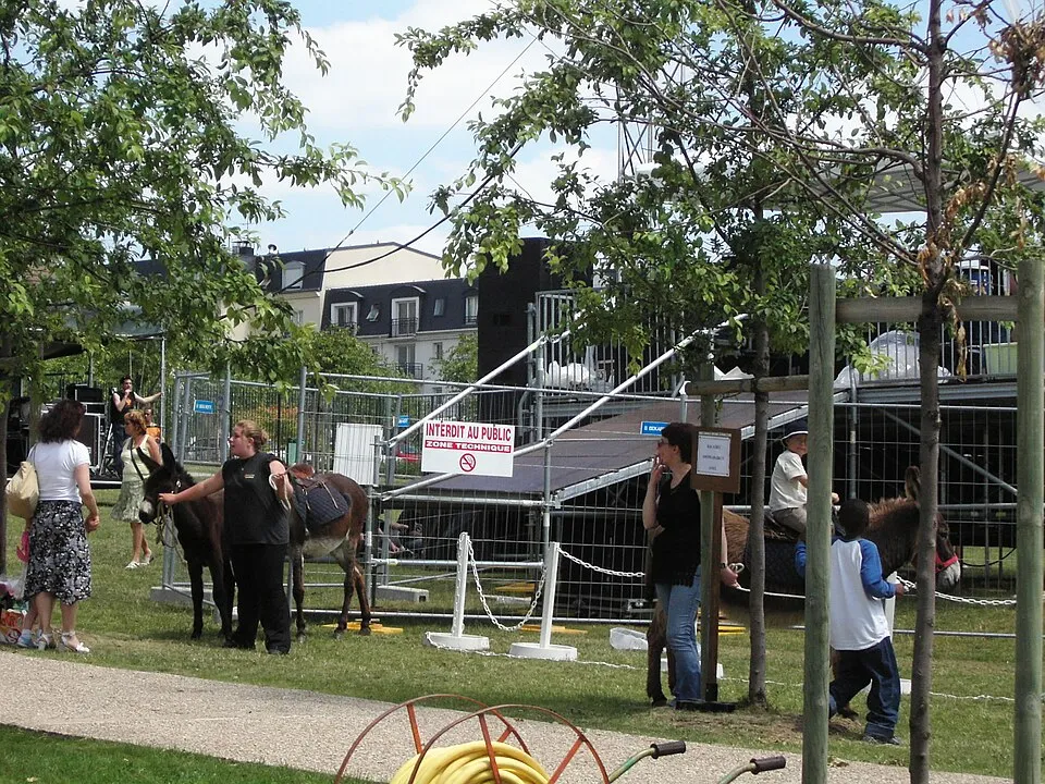 羊角面包和高级菜肴