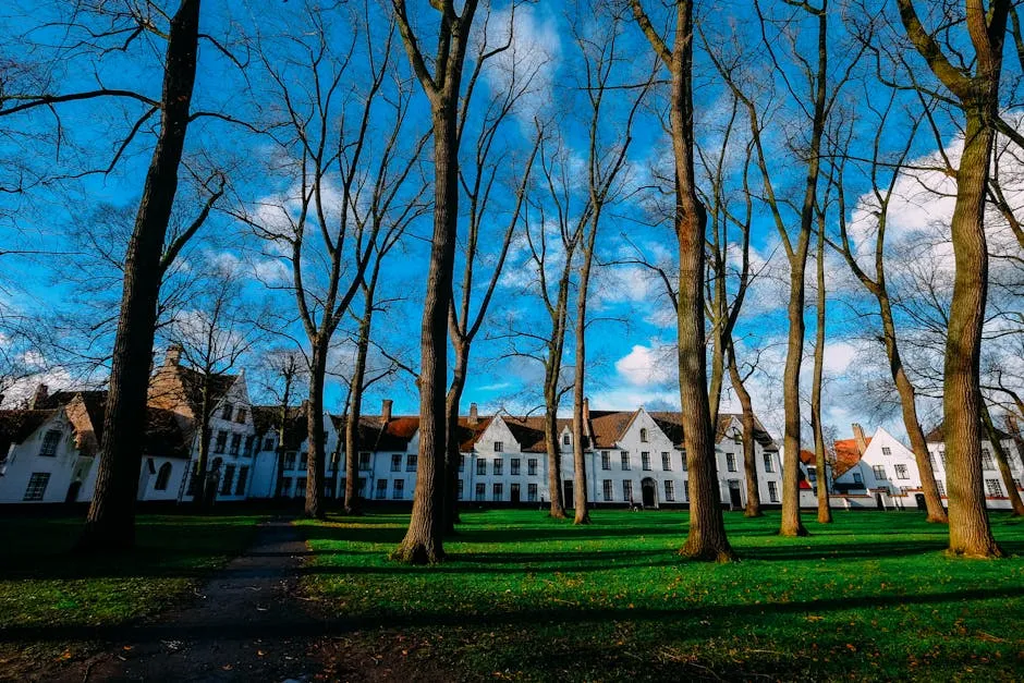 Brujas Slow: Paseos Lentos por la Venecia del Norte