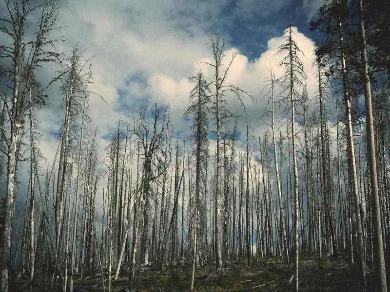 Sevilla Exclusiva: Palacios y Alta Cocina