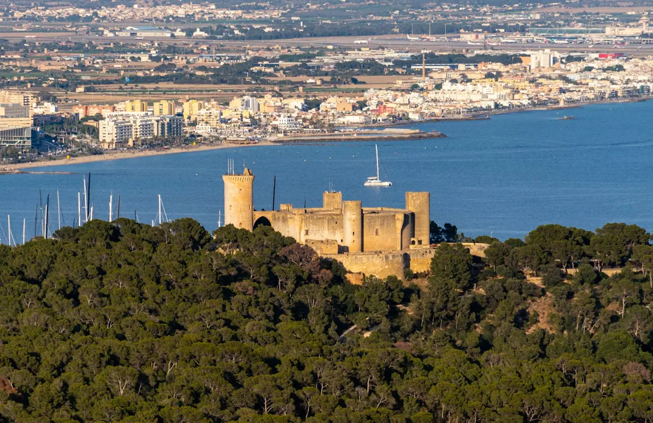 Mallorca Monumental: Catedral, Bellver y Casco Antiguo