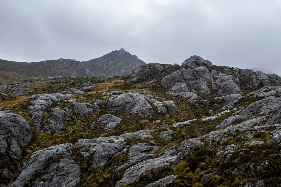 Berlín Gastronómico: Sabores Auténticos