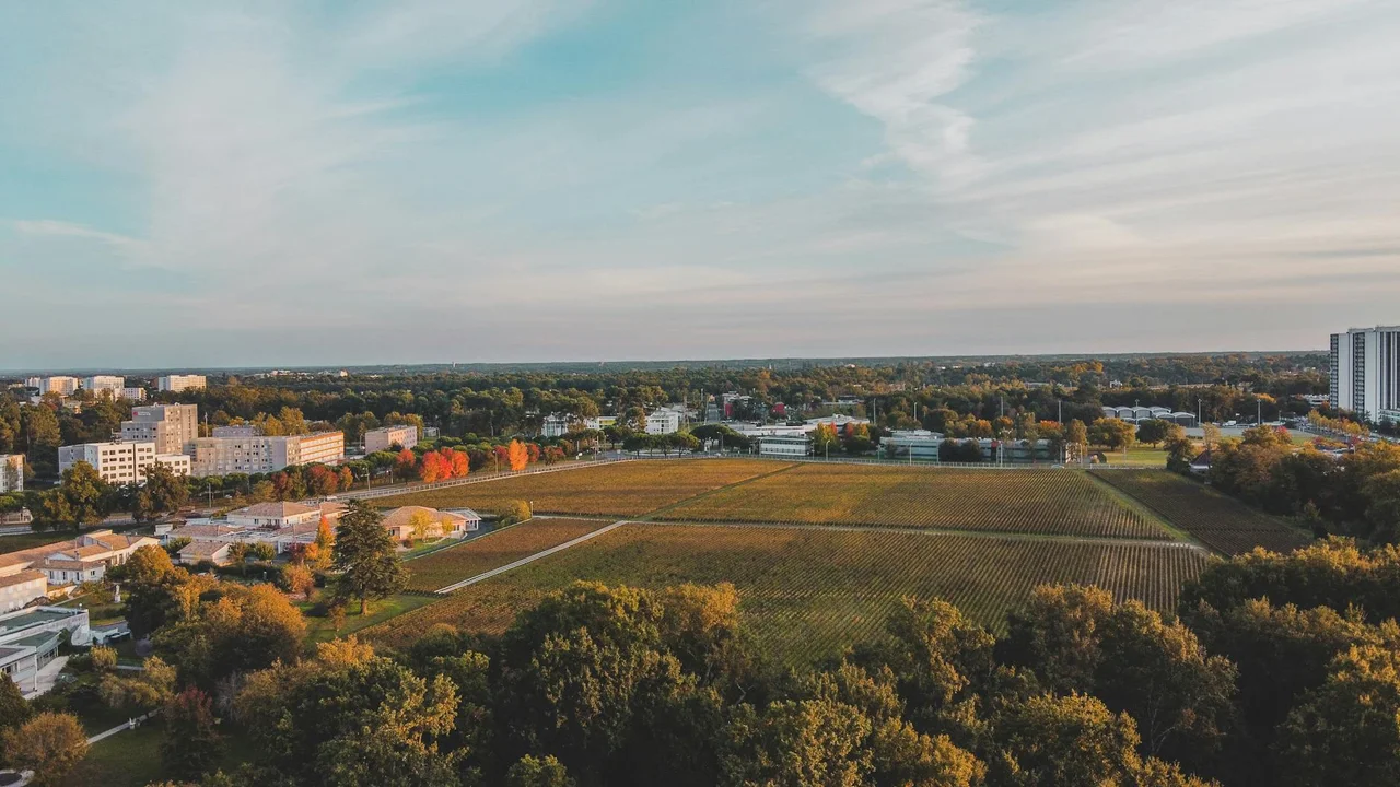 Sabores del Garona — burdeos