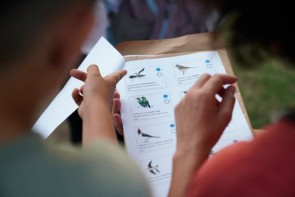 Albufera: Arrozales y Naturaleza — valencia