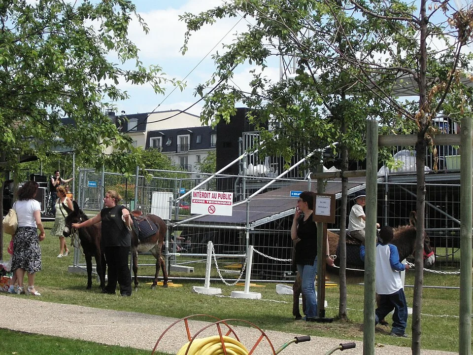 Croissants y Haute Cuisine — paris