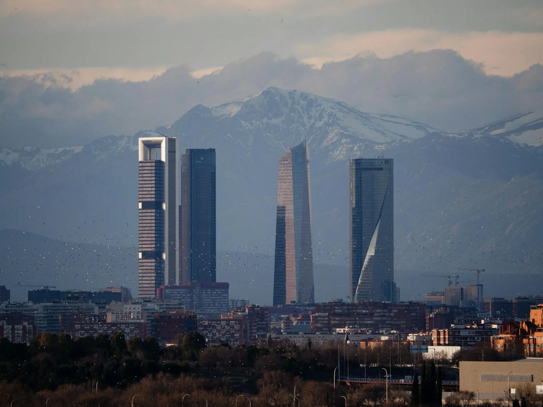 Cena en la Torre Euromast